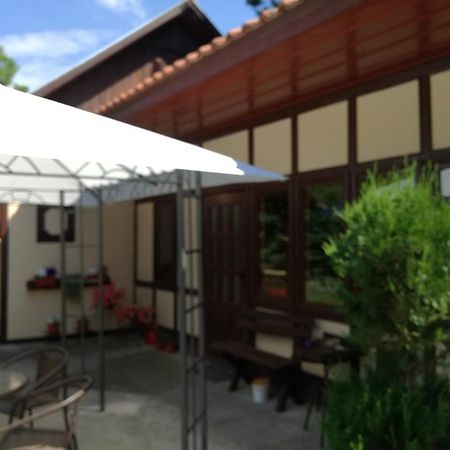 Stara Breza 1 Rooms Palić エクステリア 写真